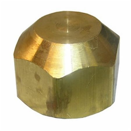 Larsen Supply Co 0.37 in. Brass Flare Cap, 6PK 207885
